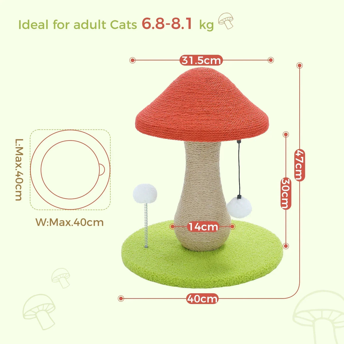 Arbre à Chat Champignon : Jeu & Détente Original