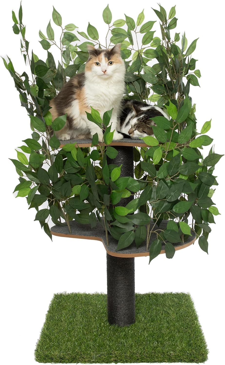 Arbre à Chat Chat'Canopée : Aventure Naturelle
