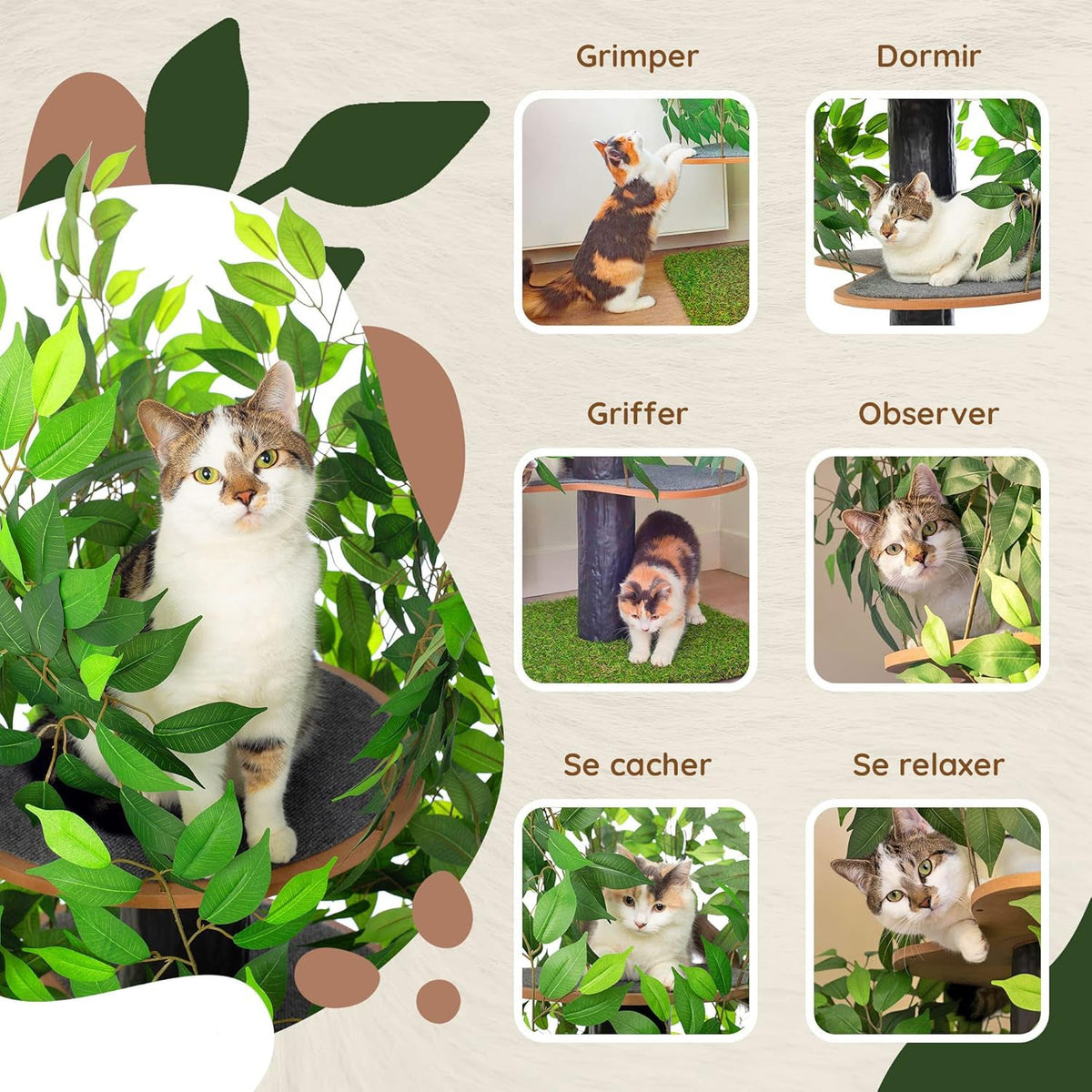 Arbre à Chat Chat'Canopée : Aventure Naturelle