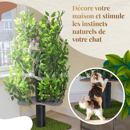 Arbre à Chat Chat'Canopée : Aventure Naturelle