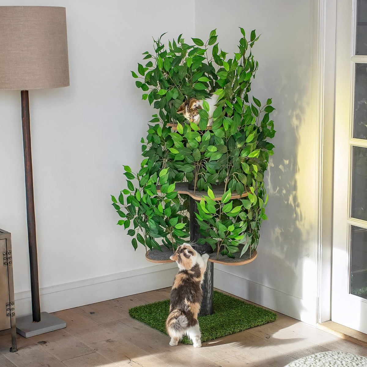 Arbre à Chat Chat'Canopée : Aventure Naturelle