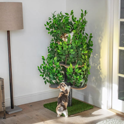 Arbre à Chat Chat'Canopée : Aventure Naturelle