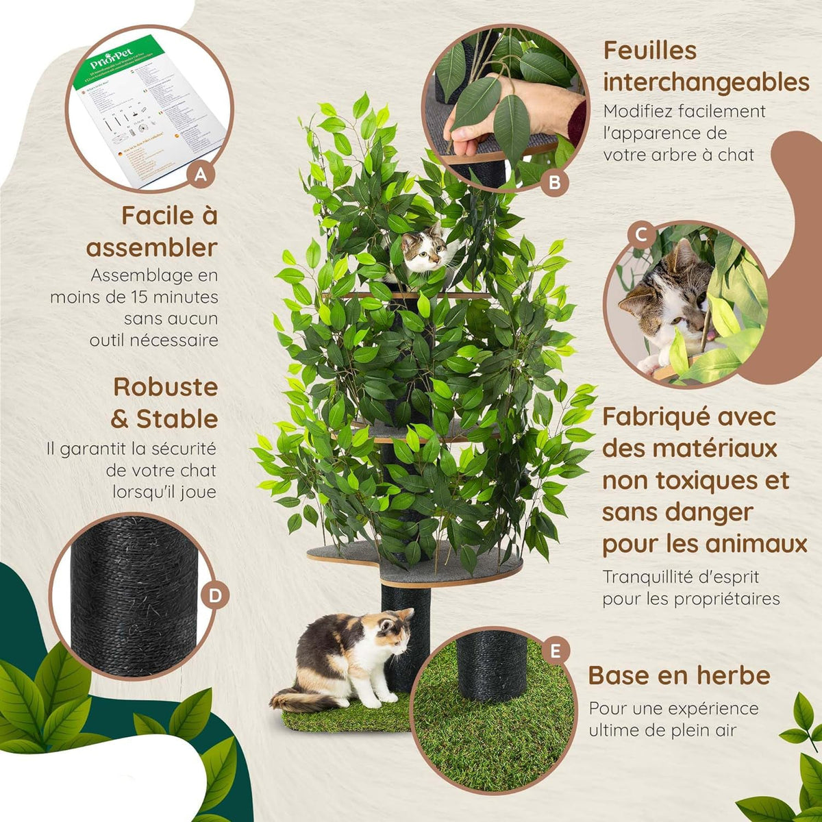 Arbre à Chat Chat'Canopée : Aventure Naturelle