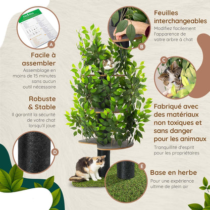 Arbre à Chat Chat'Canopée : Aventure Naturelle