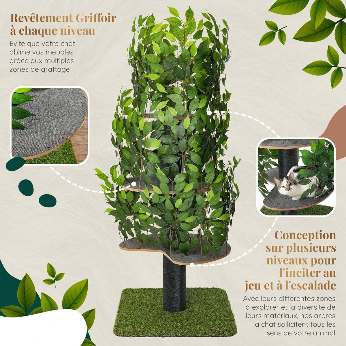 Arbre à Chat Chat'Canopée : Aventure Naturelle