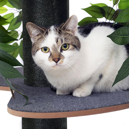 Arbre à Chat Chat'Canopée : Aventure Naturelle