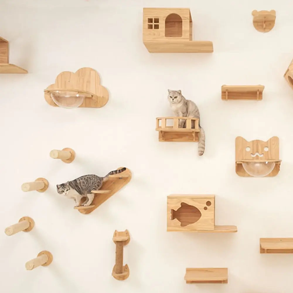 Arbre à Chat Mural en Bois avec Tube Transparent