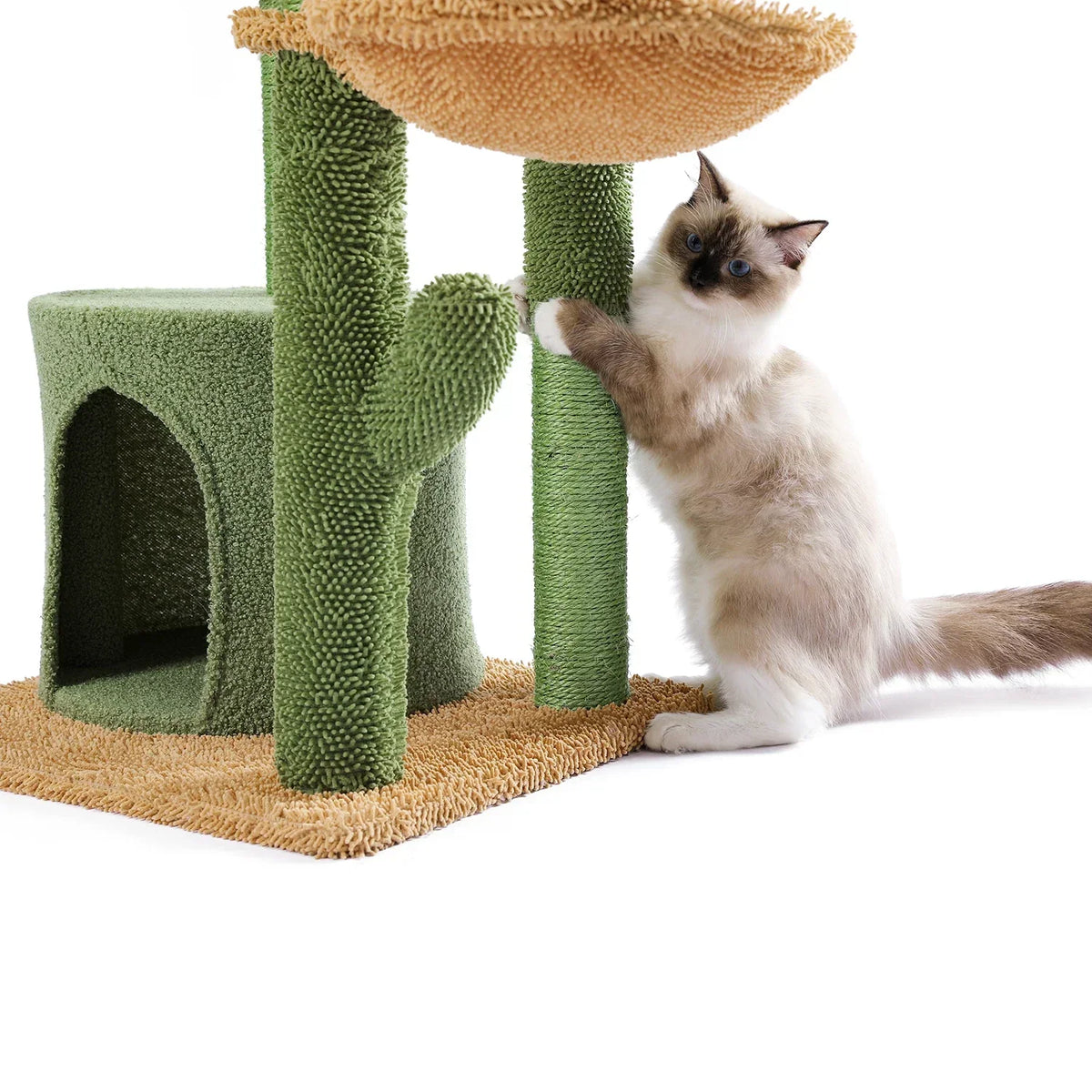 Arbre à Chat Vert Nature Multifonctionnel