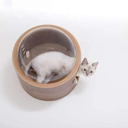 Capsule Spatiale Murale Chat - Vue Panoramique Bois & Transparent