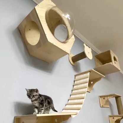 PerchoirFélin : Arbre à Chat Mural Modulable en Bois