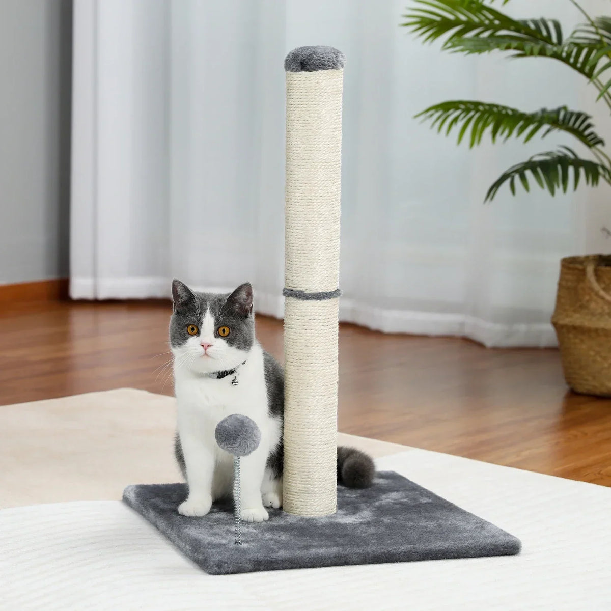 Arbre à Chat Totem Compact Gris