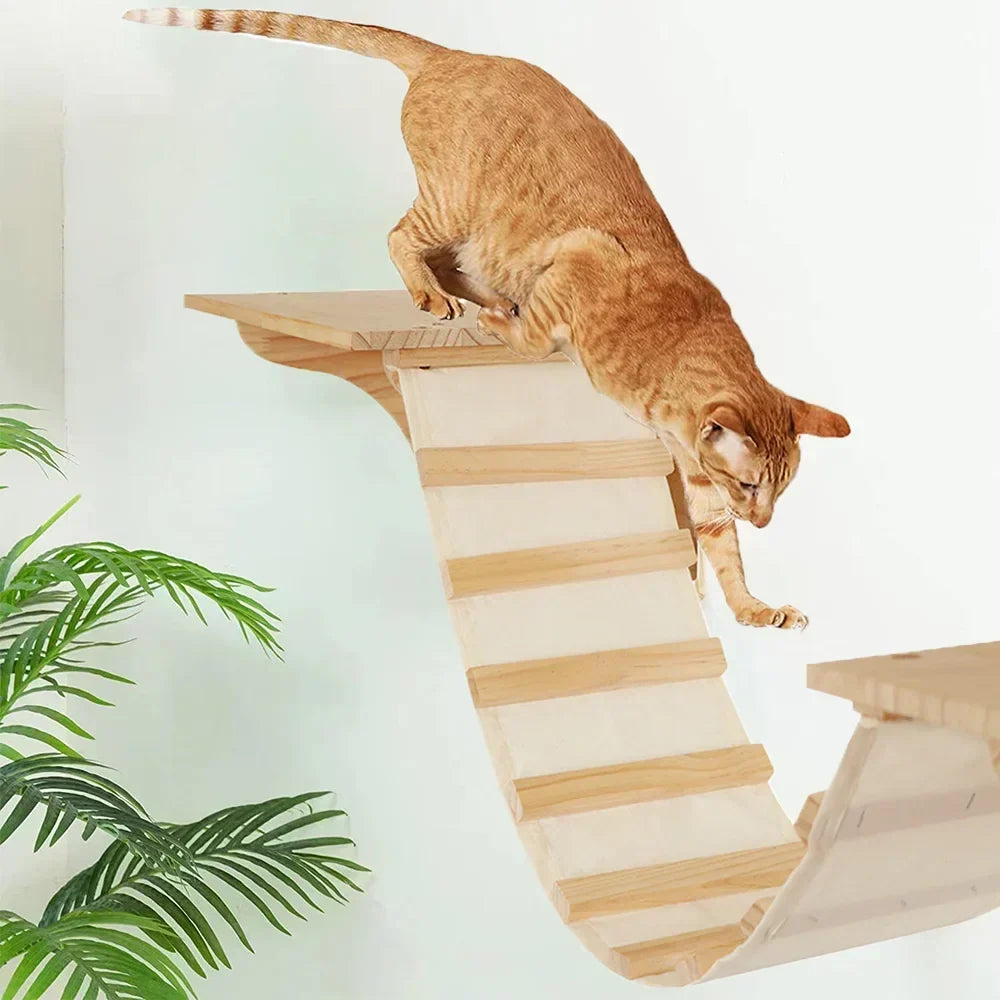 Arbre à Chat Mural en Bois avec Tube Transparent