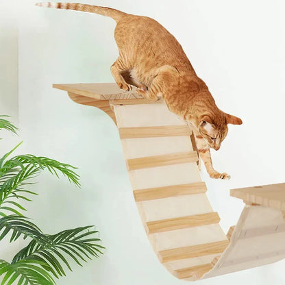 Arbre à Chat Mural en Bois avec Tube Transparent