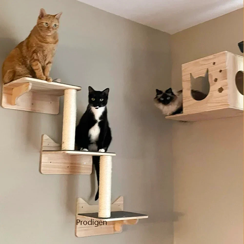 GourmetMur : Support Mural Bois pour Gamelles Chat