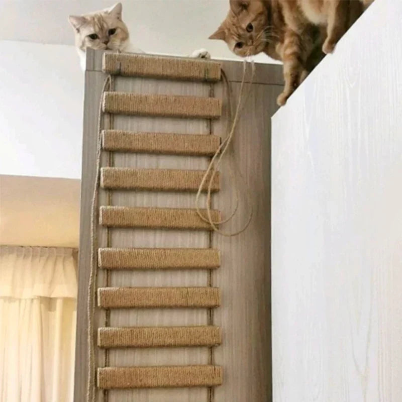 Pont Suspendu & Échelle Chat Modulable