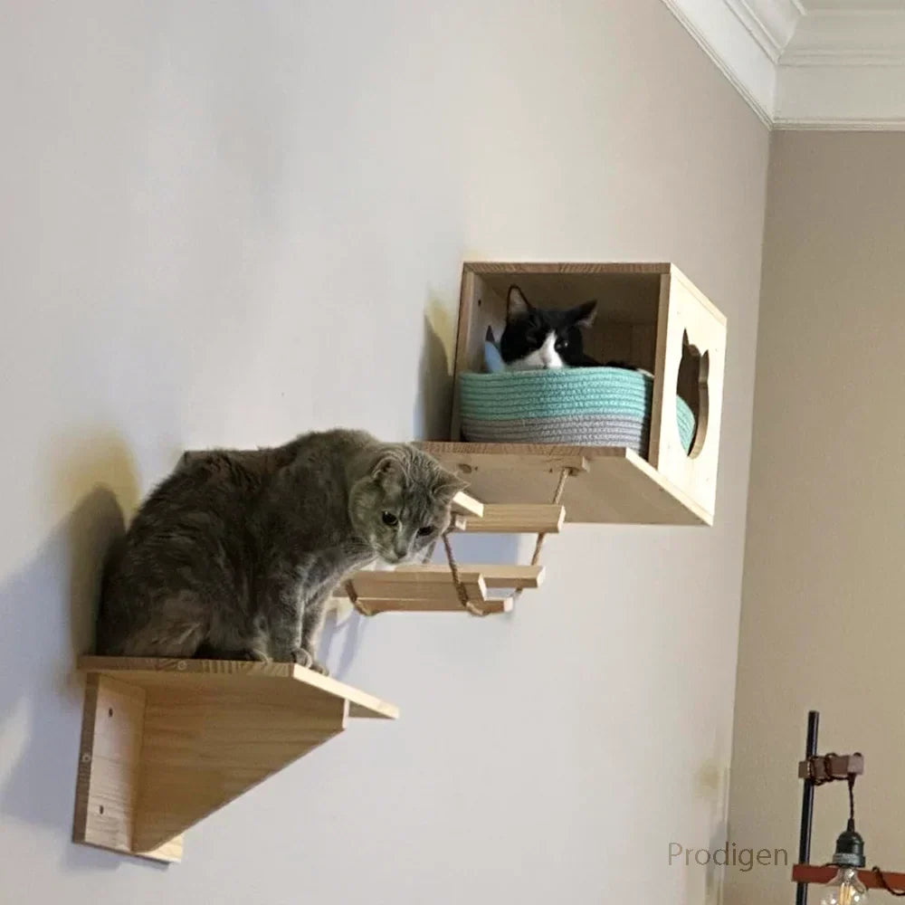 GourmetMur : Support Mural Bois pour Gamelles Chat
