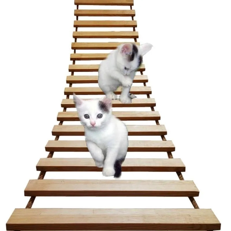 Pont Suspendu & Échelle Chat Modulable