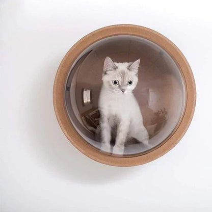Capsule Spatiale Murale Chat - Vue Panoramique Bois & Transparent