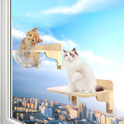 Étagère Murale Chat "Skyview" Bois & Dôme Transparent