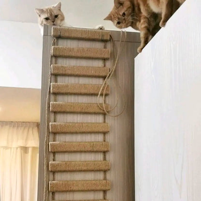 Pont Suspendu & Échelle Murale pour Chat