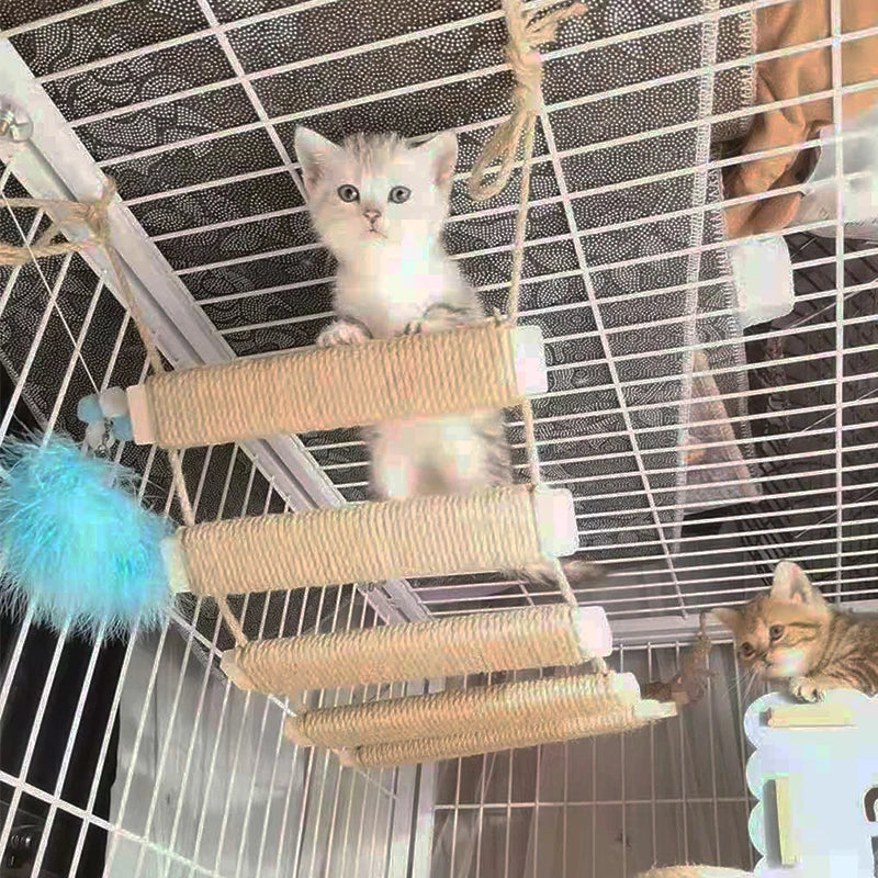 Pont Suspendu & Échelle Murale pour Chat