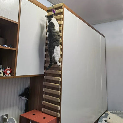 Pont Suspendu & Échelle Murale pour Chat