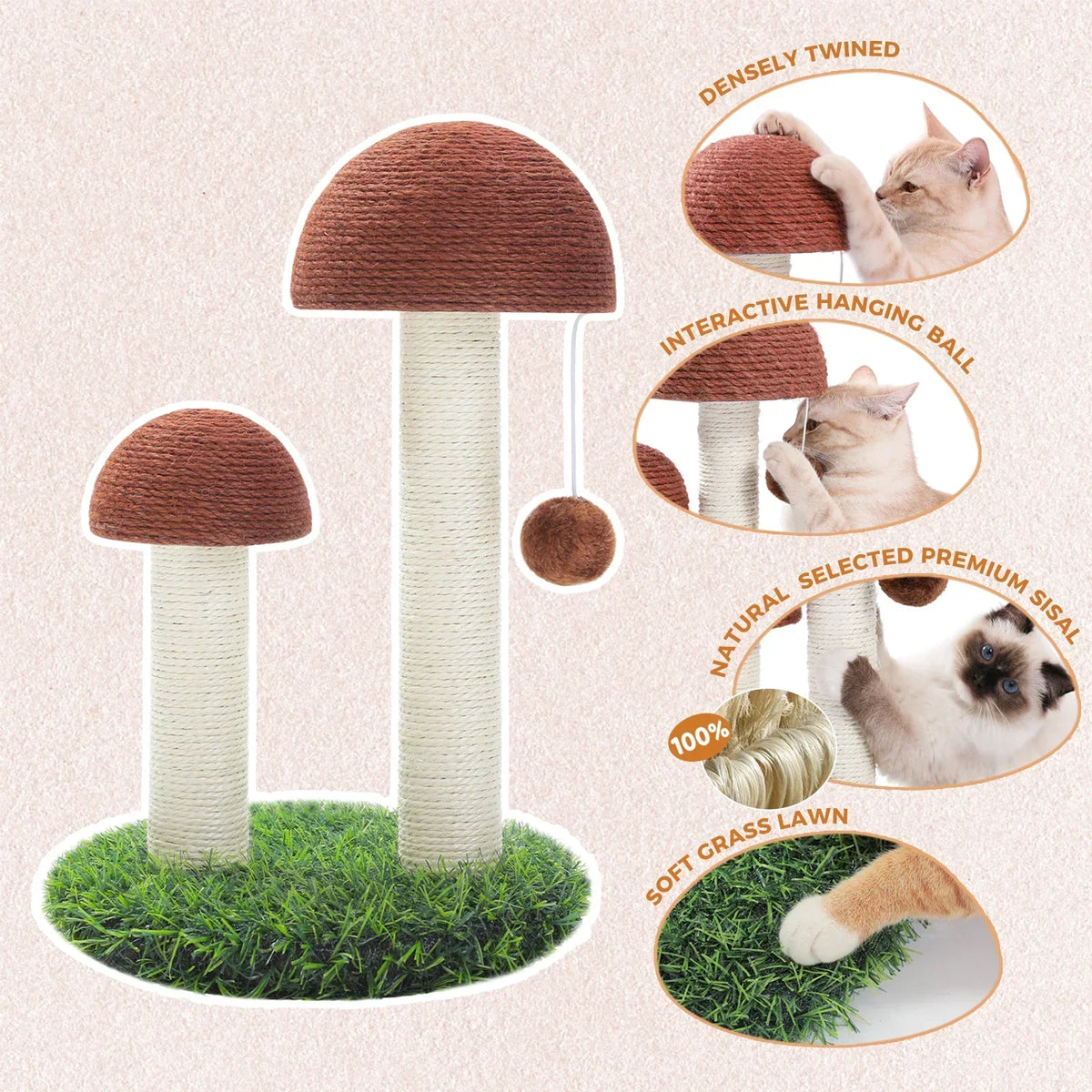 Arbre à Chat Champignon : Jeu & Détente Original