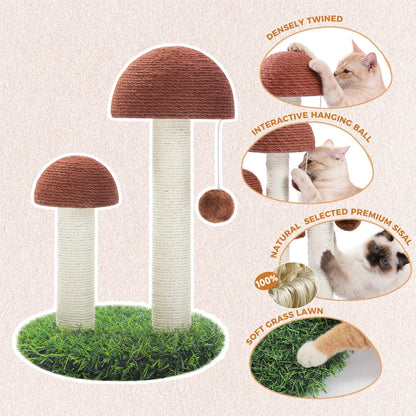 Arbre à Chat Champignon : Jeu & Détente Original