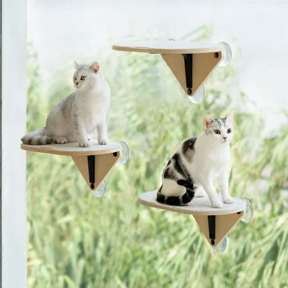 Plateforme Fenêtre Chat : Vue Panoramique & Détente