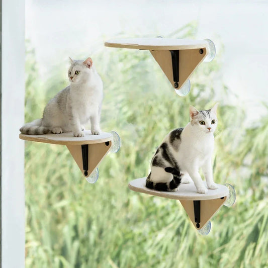 Plateforme Fenêtre Chat : Vue Panoramique & Détente