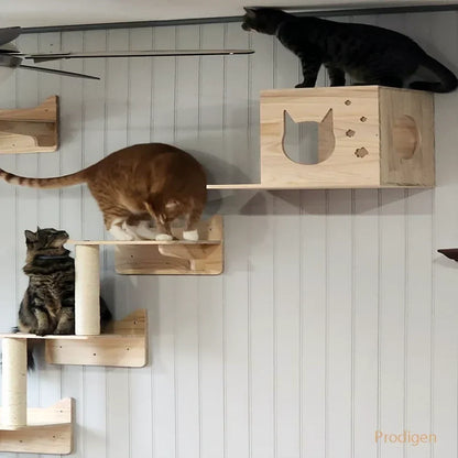 PerchoirFélin : Arbre à Chat Mural Modulable en Bois