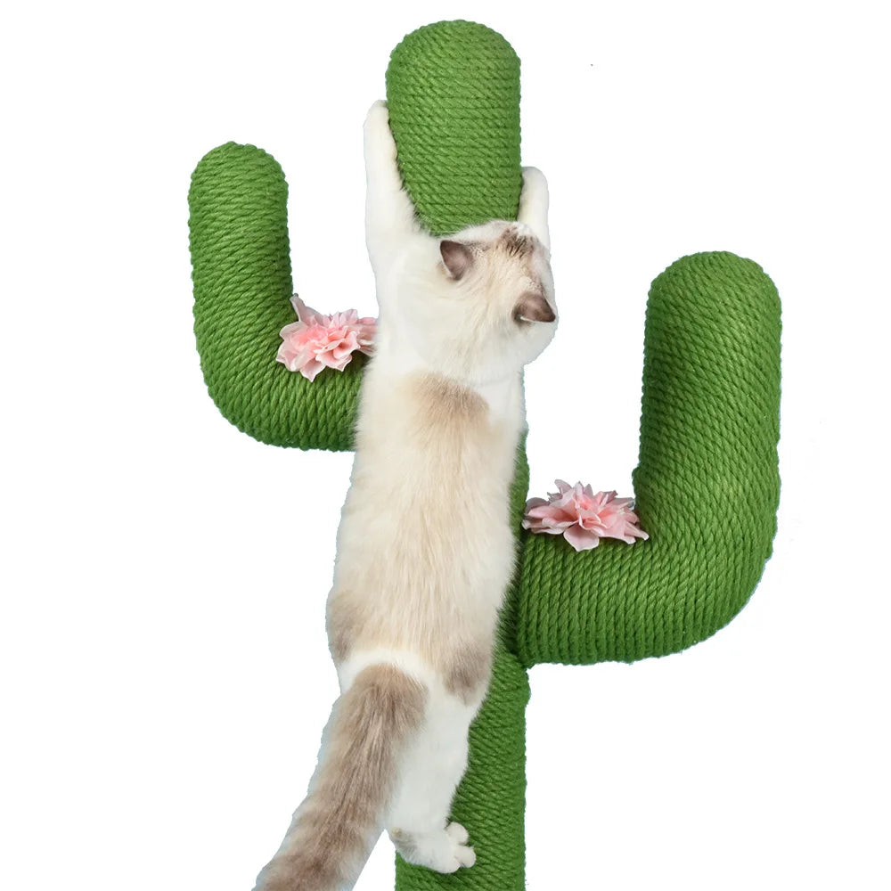 Arbre à Chat Cactus MiaouCactus : Jeu & Déco Verte