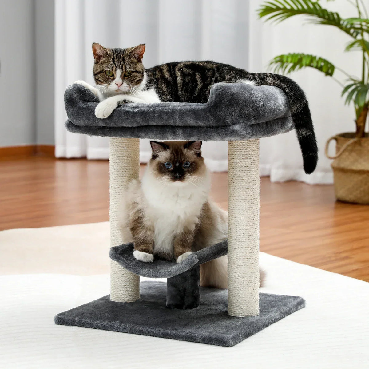 Arbre à Chat Totem Compact Gris