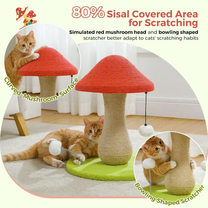 Arbre à Chat Champignon : Jeu & Détente Original