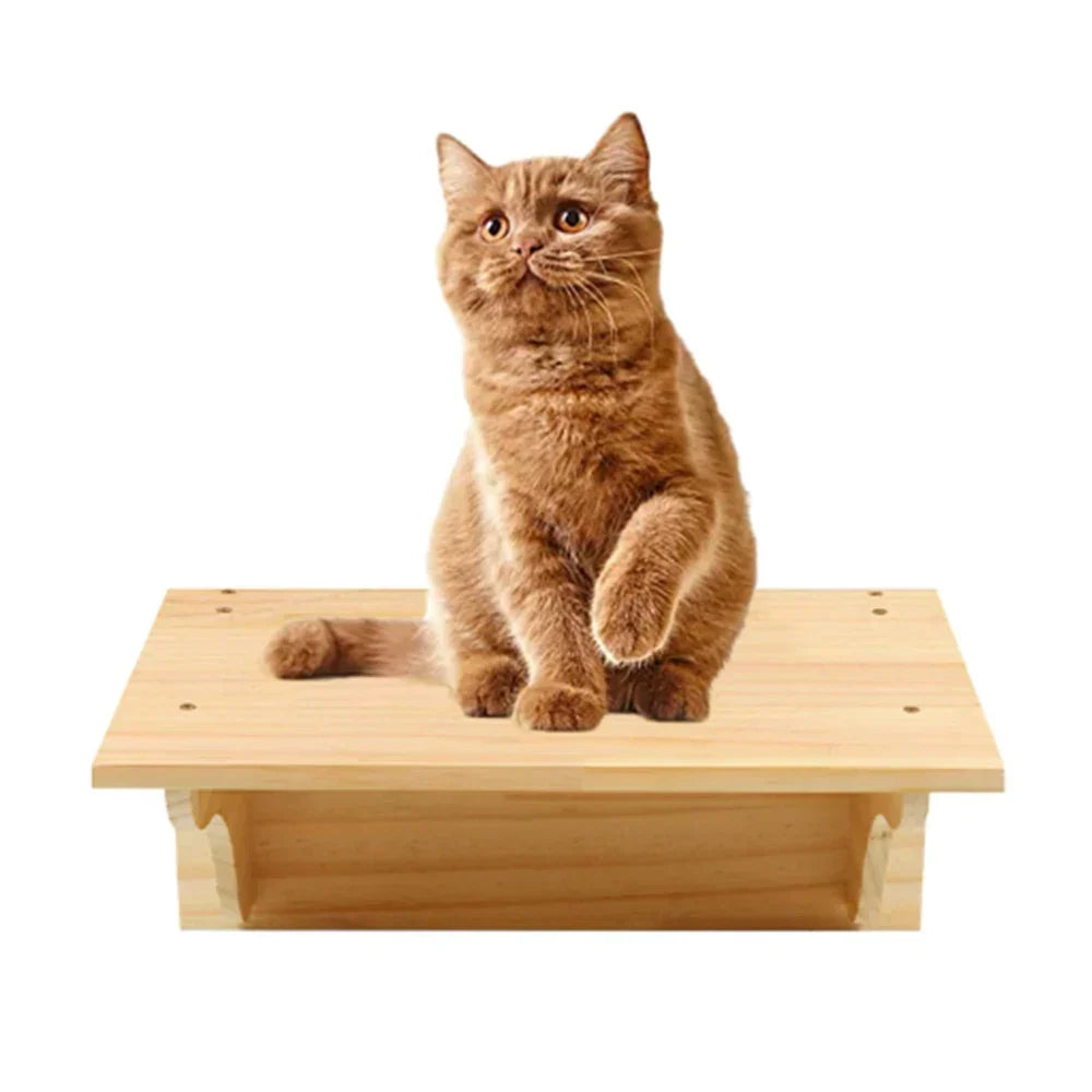 Arbre à Chat Mural en Bois avec Tube Transparent