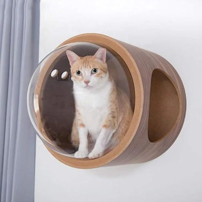 Capsule Spatiale Murale Chat - Vue Panoramique Bois & Transparent