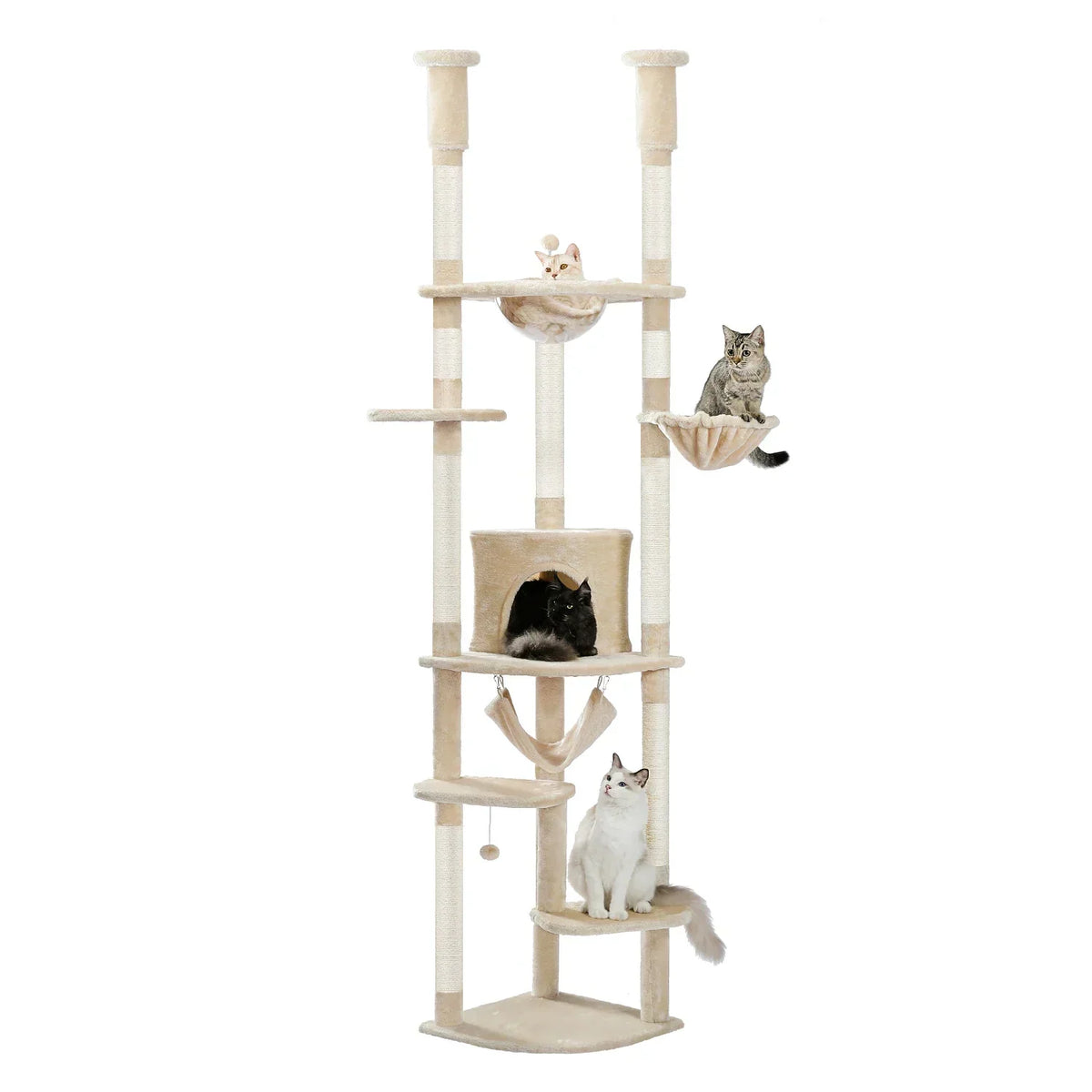 Arbre à Chat XXL Ajustable Sol-Plafond