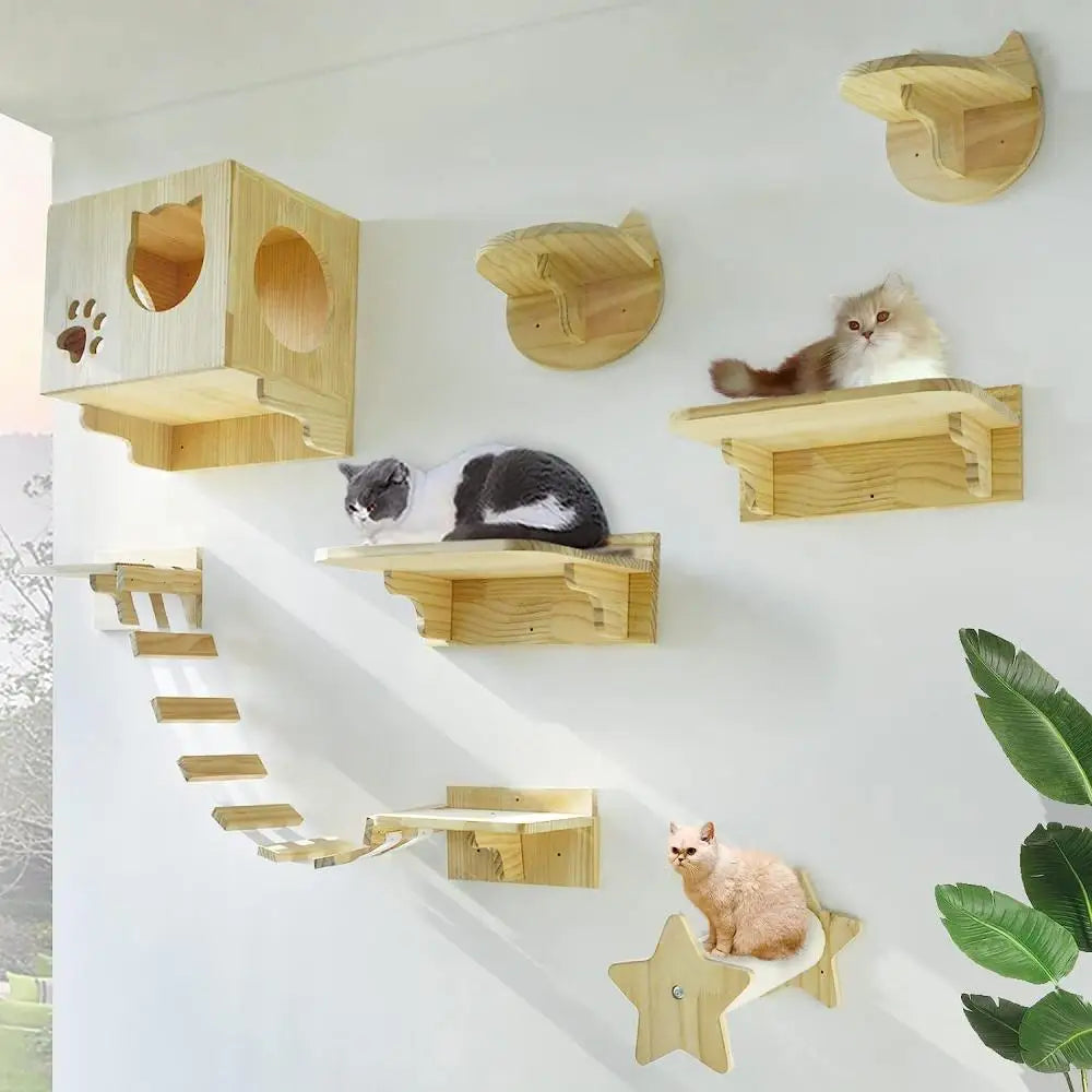 Arbre à Chat Mural en Bois avec Tube Transparent