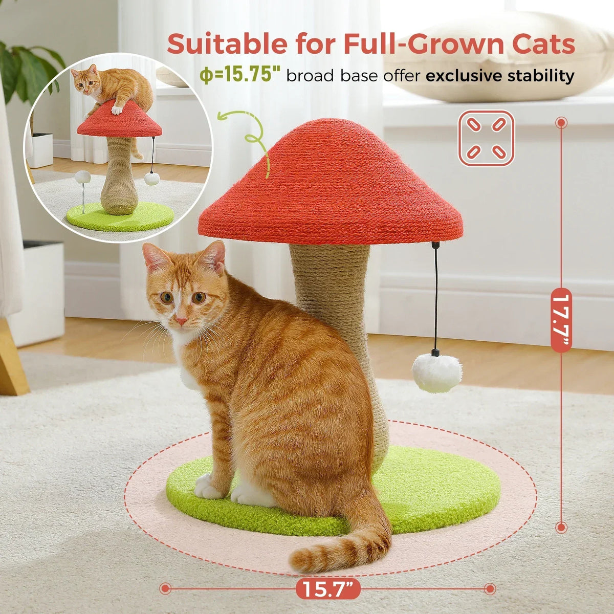 Arbre à Chat Champignon : Jeu & Détente Original