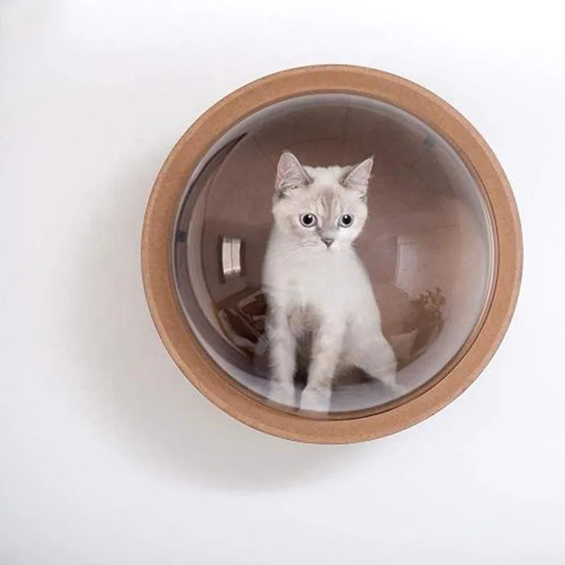 Capsule Spatiale Murale Chat - Vue Panoramique Bois & Transparent