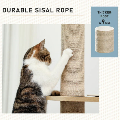 Arbre à Chat XL Design Bois Naturel - LesArbresAuxChats