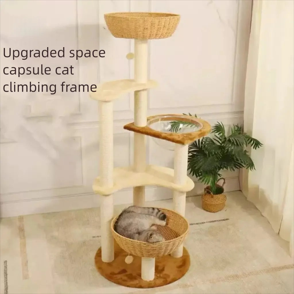 Arbre à Chat Design SkyNest Dôme Bois Massif