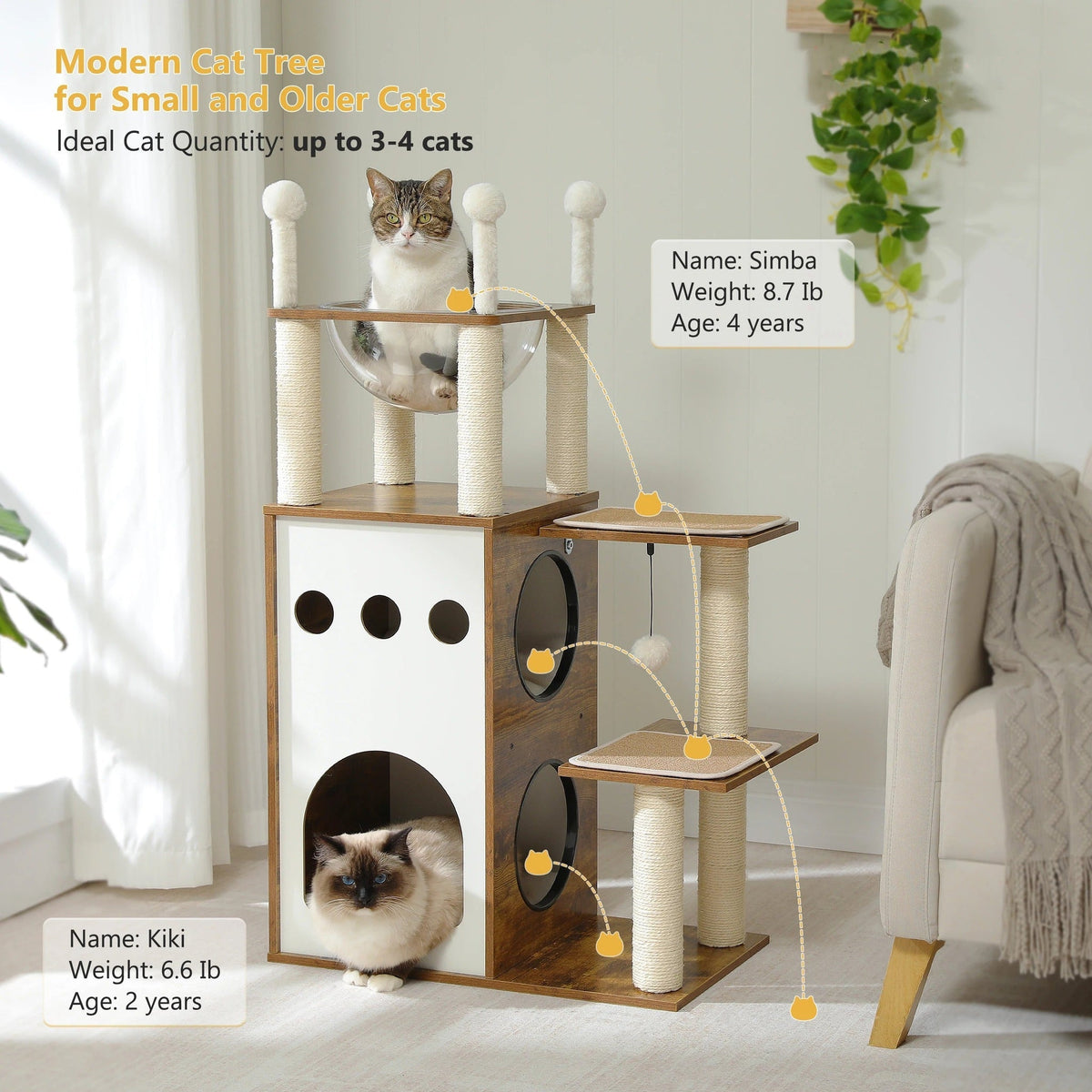 Arbre à Chat Design CozyCondos Bois & Peluche