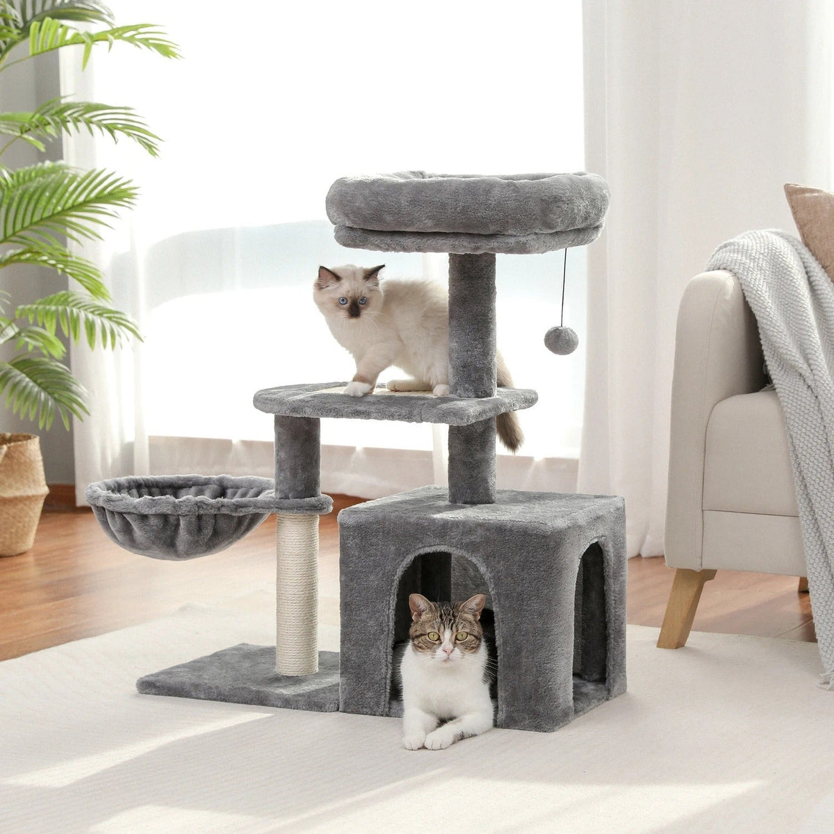 Arbre à Chat Beige Douillet & Sisal