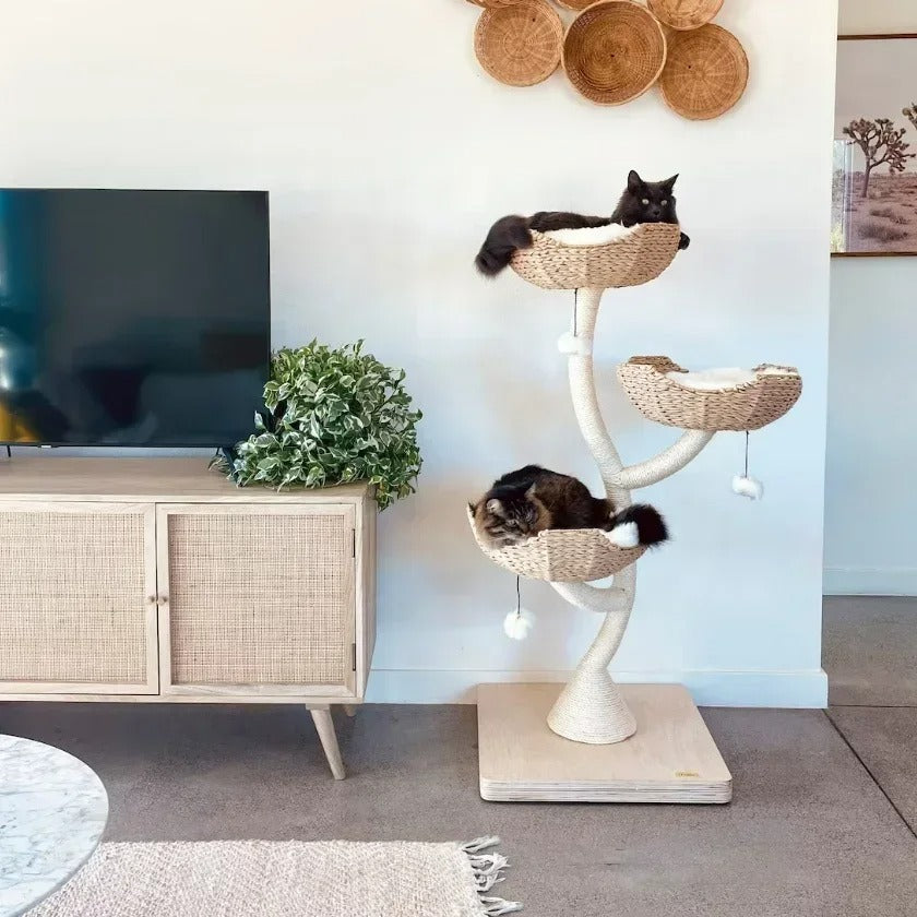 Arbre à Chat FleurDeluxe Design Bois & Sisal