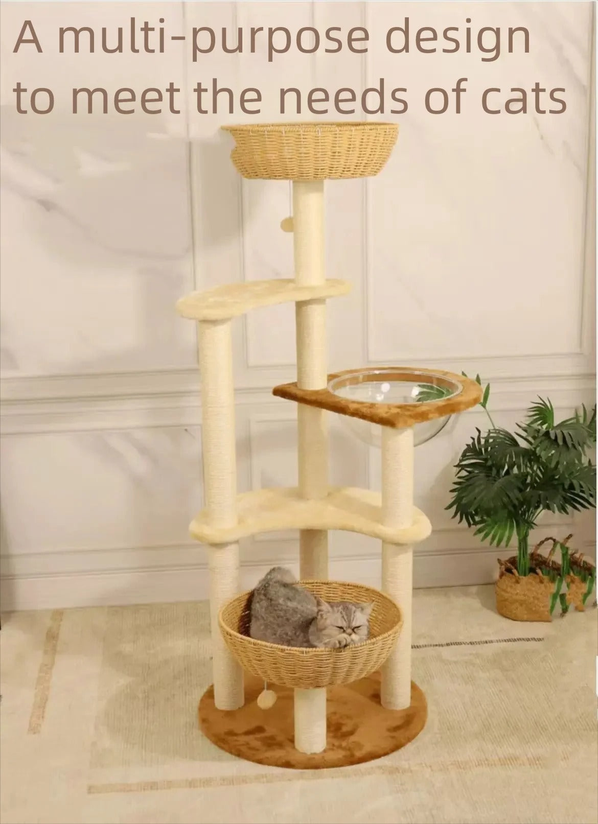 Arbre à Chat Design SkyNest Dôme Bois Massif