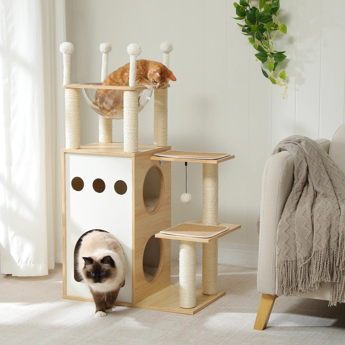 Arbre à Chat Design CozyCondos Bois & Peluche