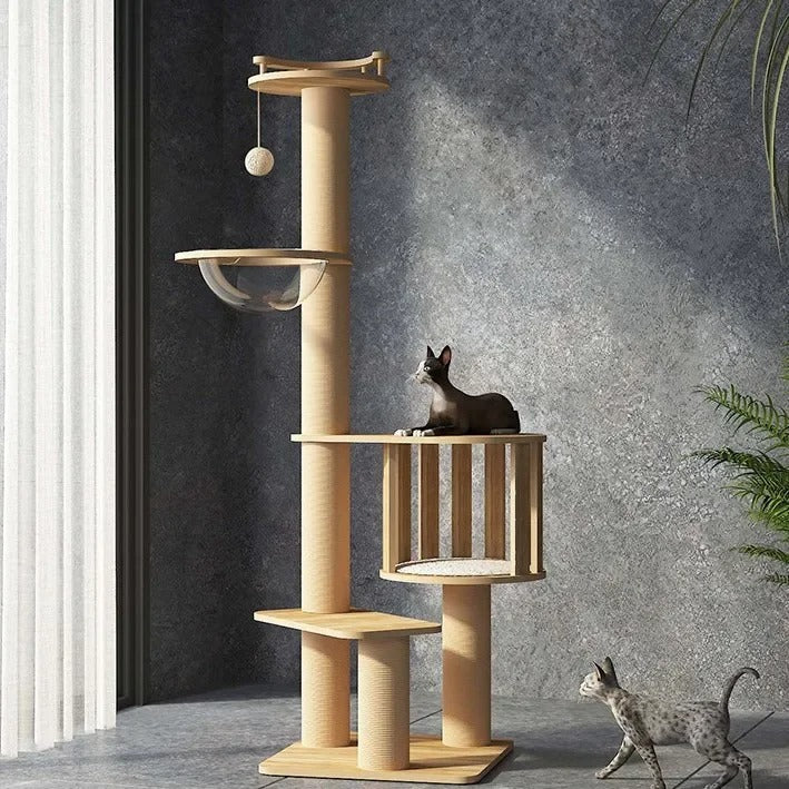 Arbre à Chat CatForest Bois Naturel Luxe