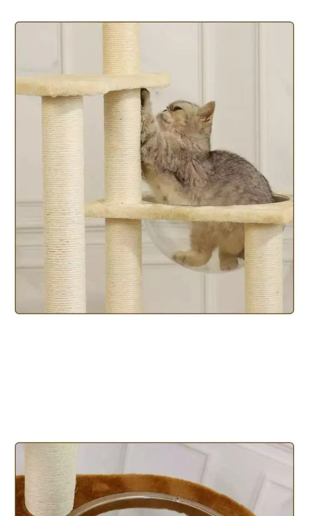 Arbre à Chat Design SkyNest Dôme Bois Massif