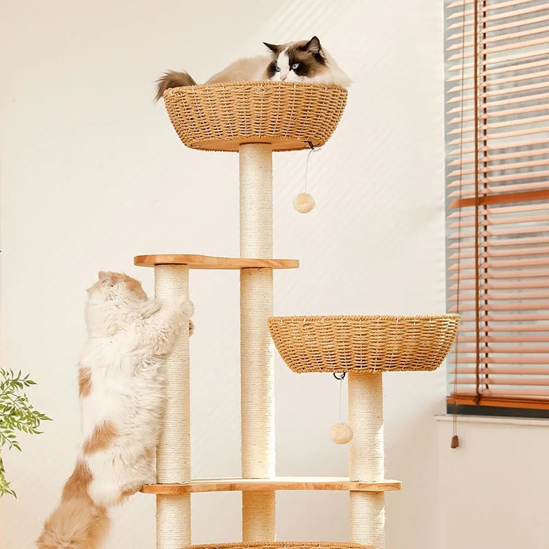 Arbre à Chat Design Bois Massif SkyNest